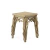 Farmhouse Teak Branch End Table